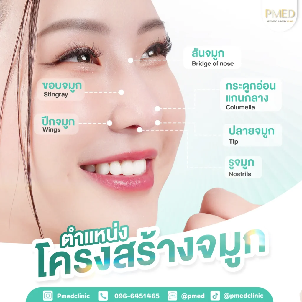 การแก้จมูกแบบโอเพ่นคืออะไร? ทางเลือกสำหรับคนที่อยากแก้จมูกอย่างเห็นผล