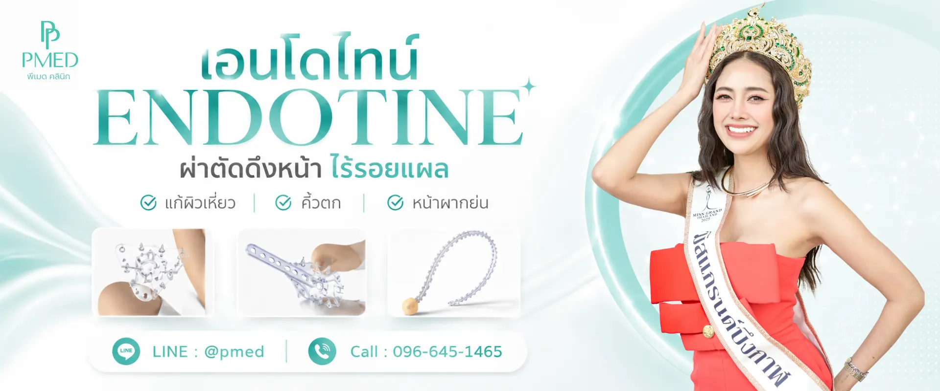 แบนเนอร์หน้าเอนโดไทน์ 2