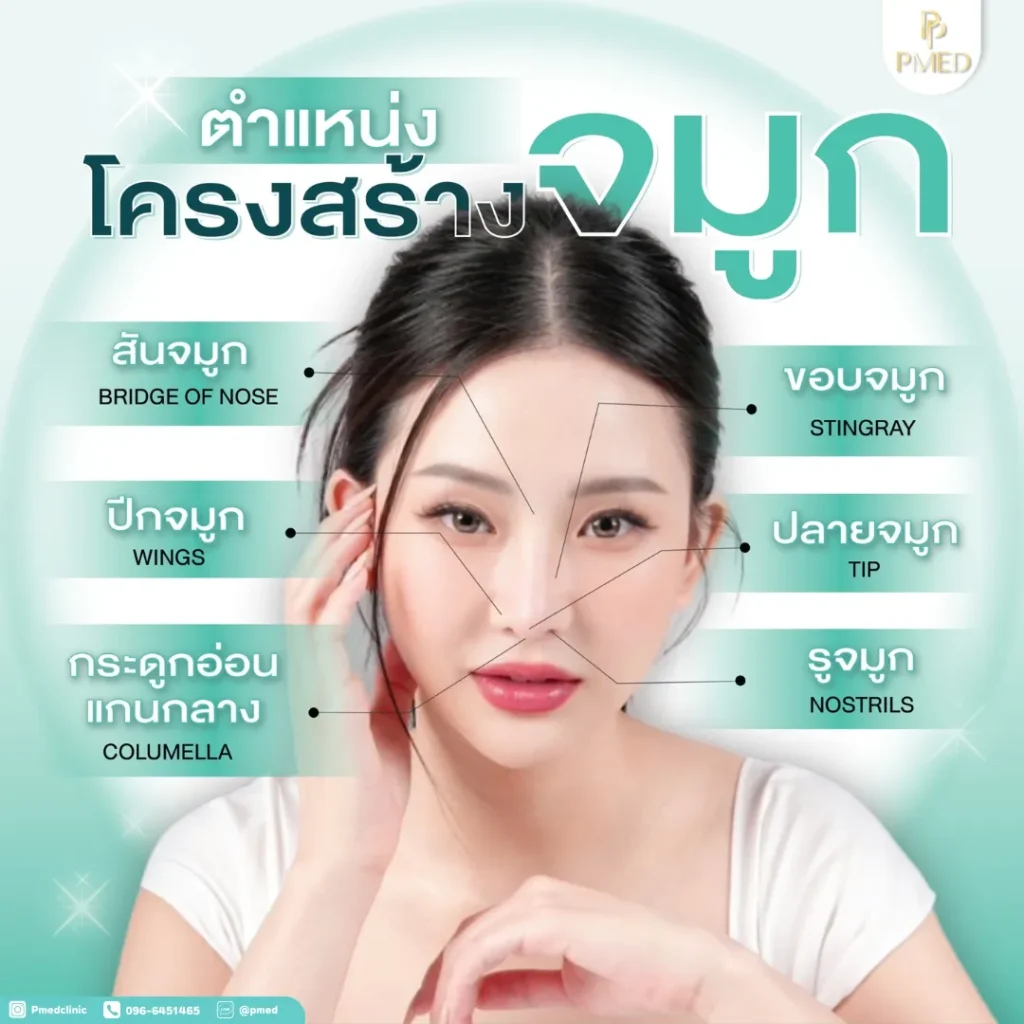 เจาะลึก! 4 เทคนิคหลักที่ใช้ในการแก้จมูกแบบโอเพ่น ที่ช่วยให้ผลลัพธ์แม่นยำและเป็นธรรมชาติ